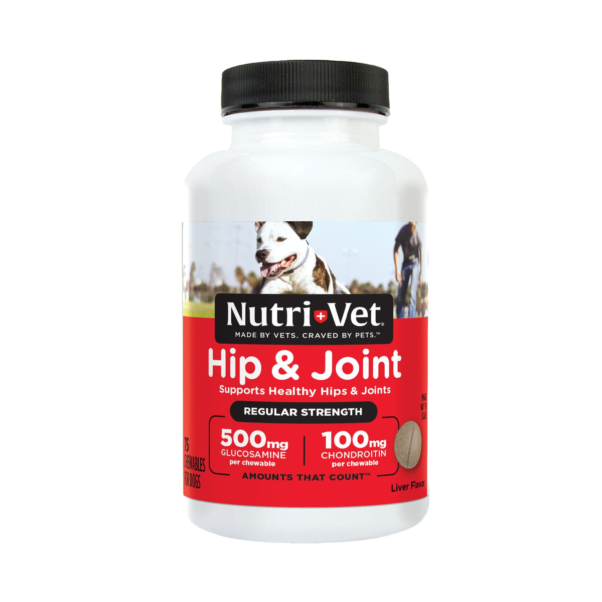 Dog Supplement, 500mg Glucosamine, 75 Count I16755