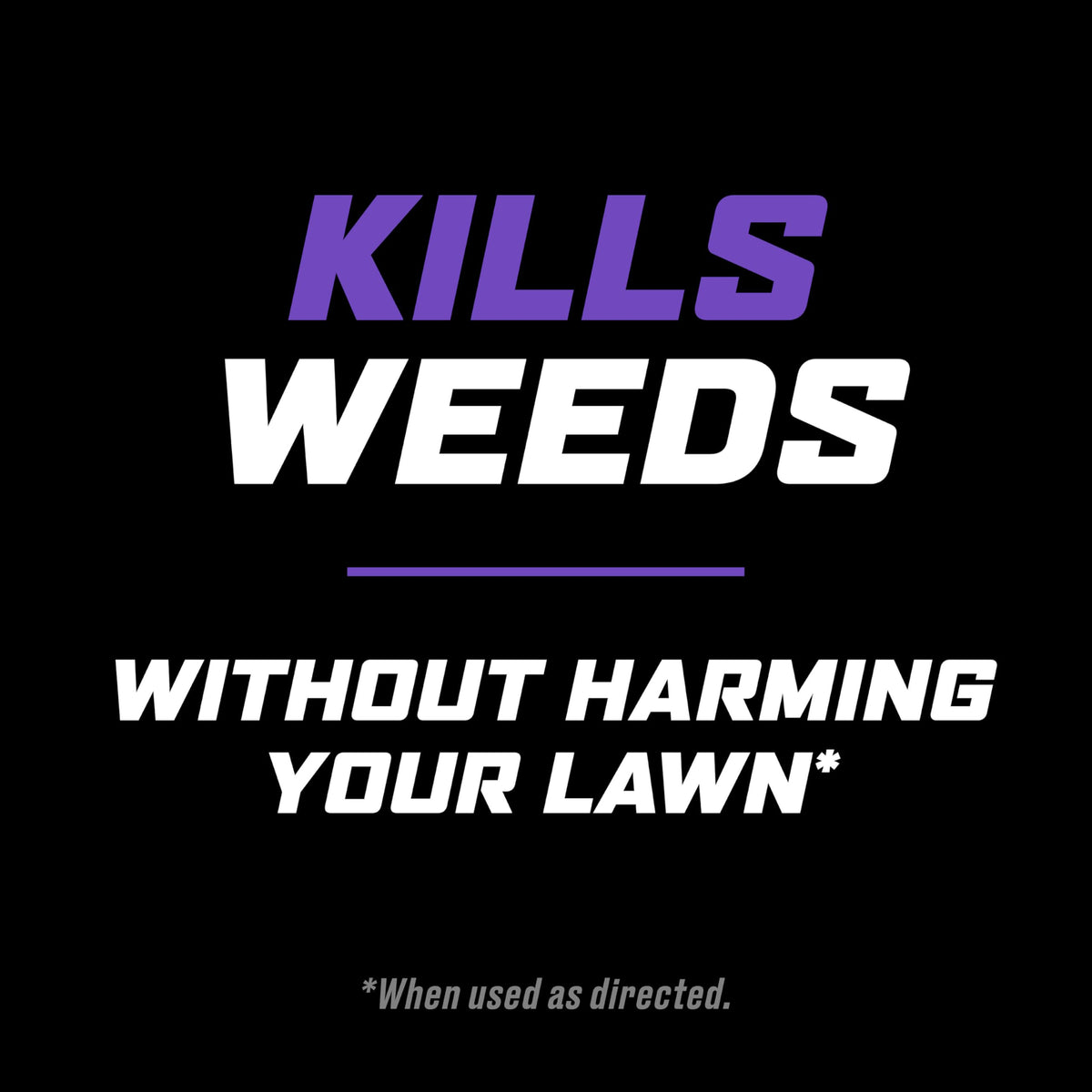 Lawn Weed Killer with Comfort Wand Z2566