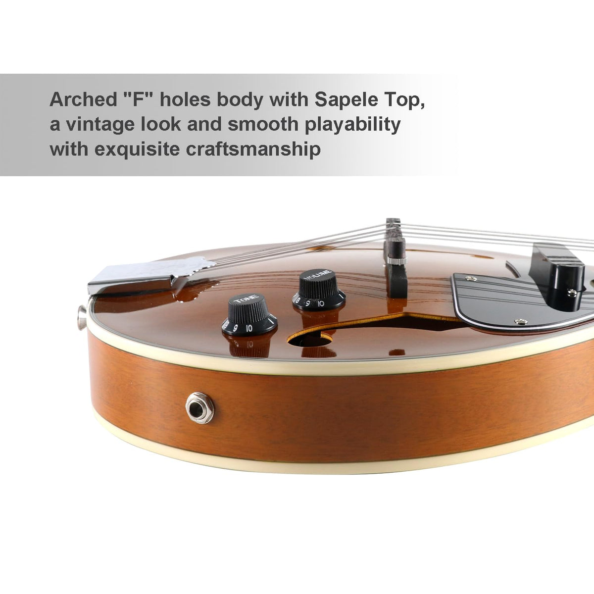 8 String Acoustic-Electric Mandolin Instrument with Pickup P631