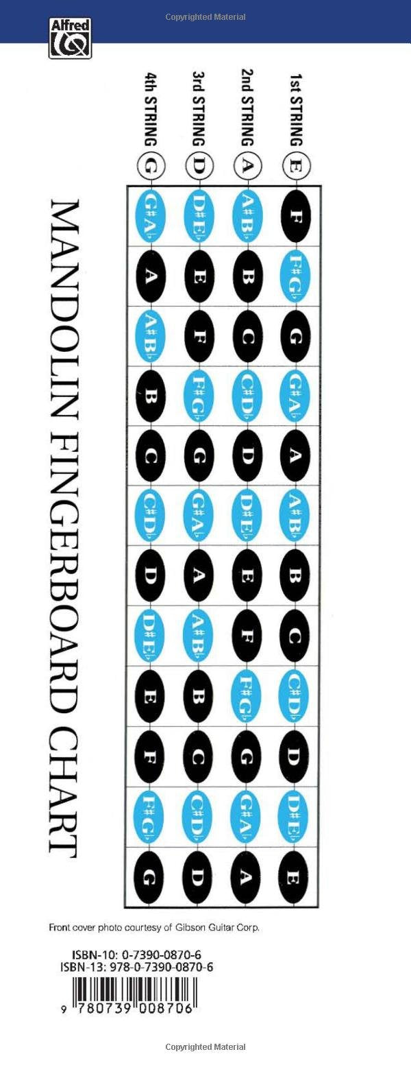 Mandolin Y38429