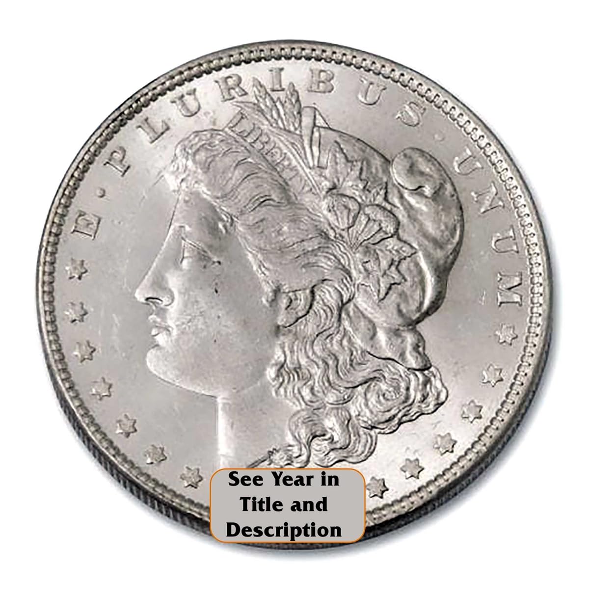 Morgan Silver Dollar G213