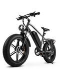 1000W Peak Electric Mountain Bike 48V 13Ah B1795
