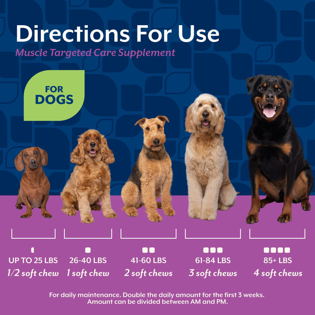 Hip & Joint Supplement for Dogs 60 Ct Q844