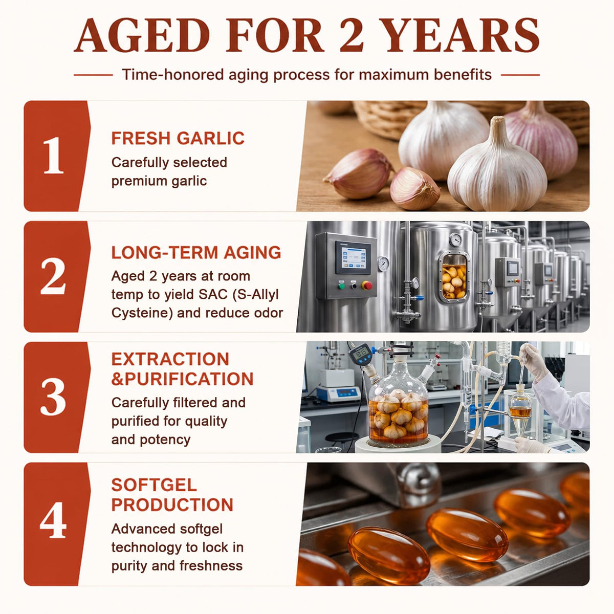 Aged Garlic Extract Softgels 1,200 mg 180 Softgels H2099