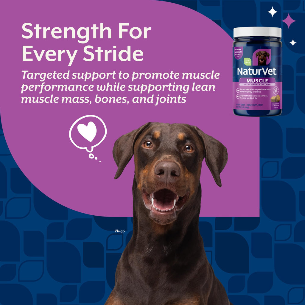 Hip & Joint Supplement for Dogs 60 Ct Q844