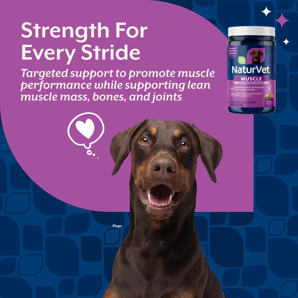 Hip & Joint Supplement for Dogs 60 Ct Q844