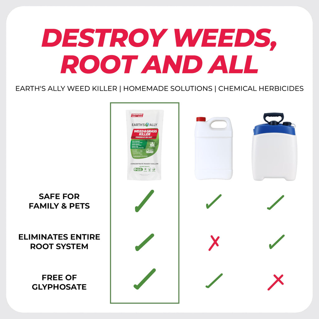 Grass & Weed Killer Spray, 32 Fl Oz K16991
