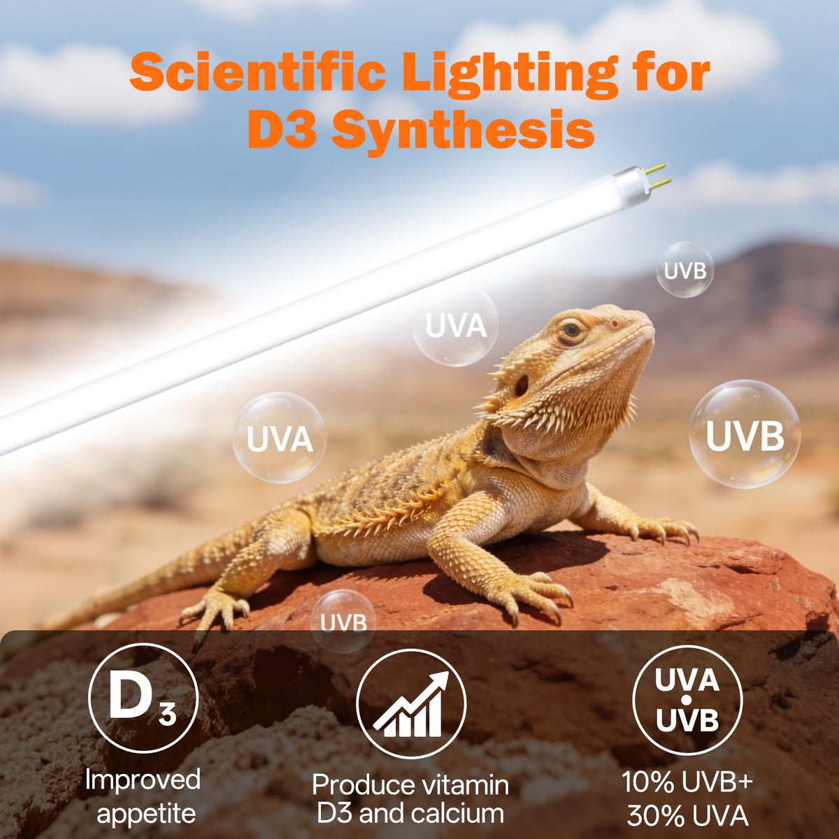 24W 22'' UVB Reptile Light Fixture Combo Kit Y129