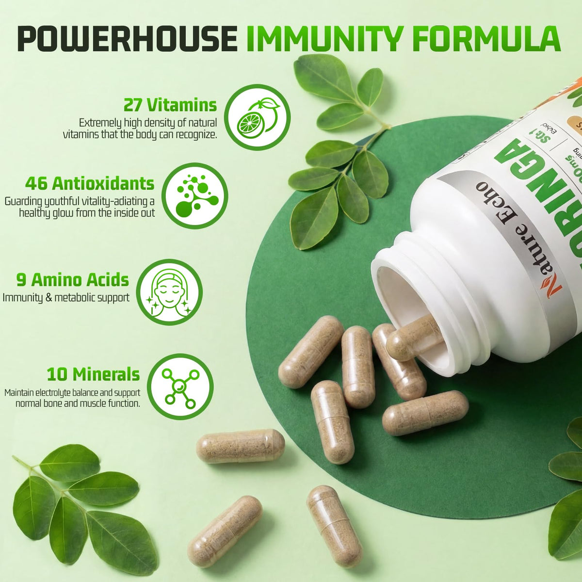 Moringa Capsules 1000mg 60 Count W571501