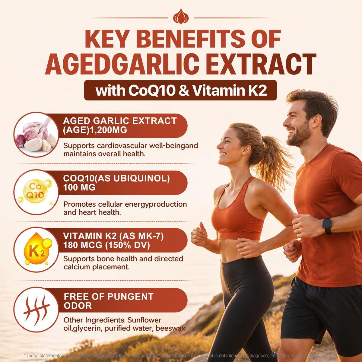 Aged Garlic Extract Softgels 1,200 mg 180 Softgels H2099