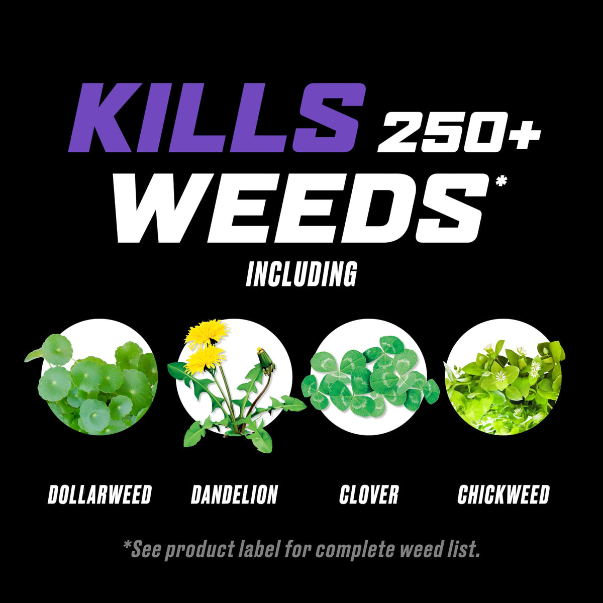 Lawn Weed Killer with Comfort Wand Z2566