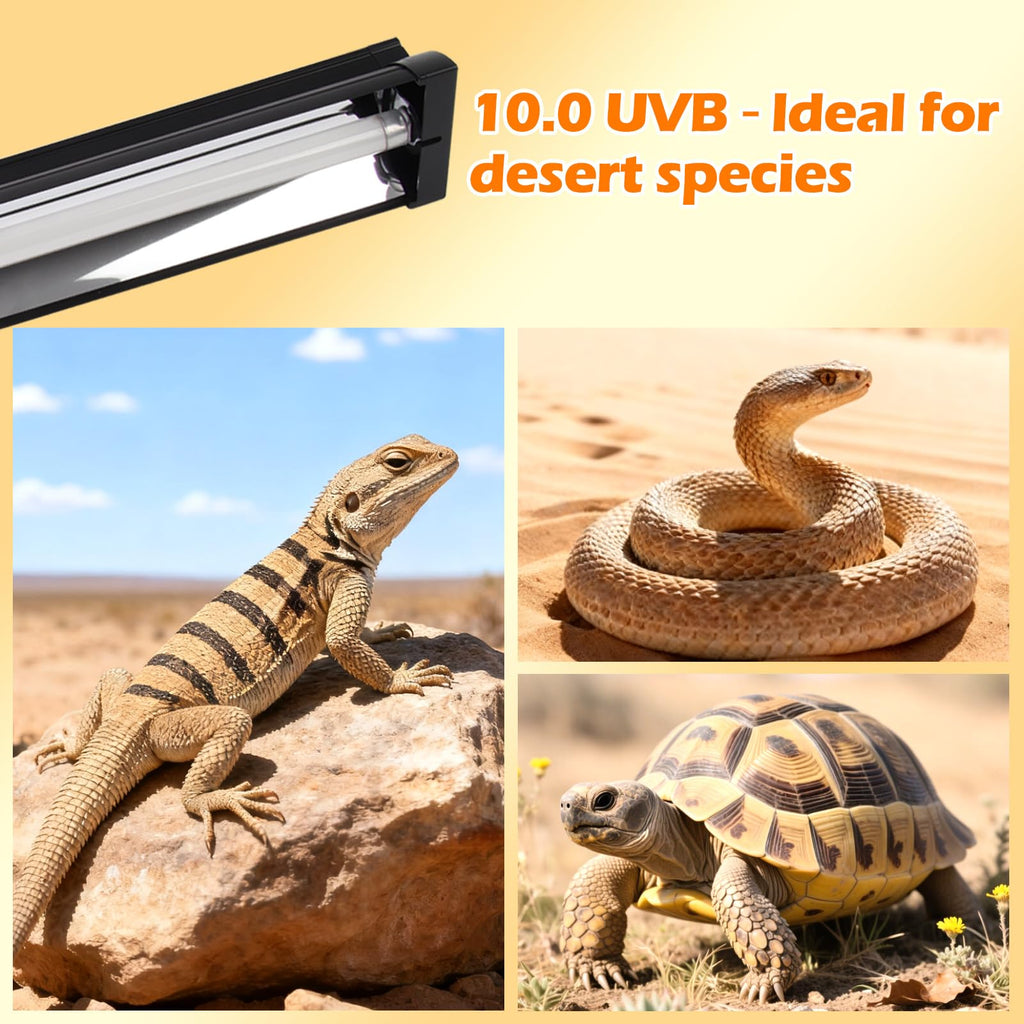 8W 10.0 UVB Reptile Light Fixture Combo Kit with Terrarium Hood X81769