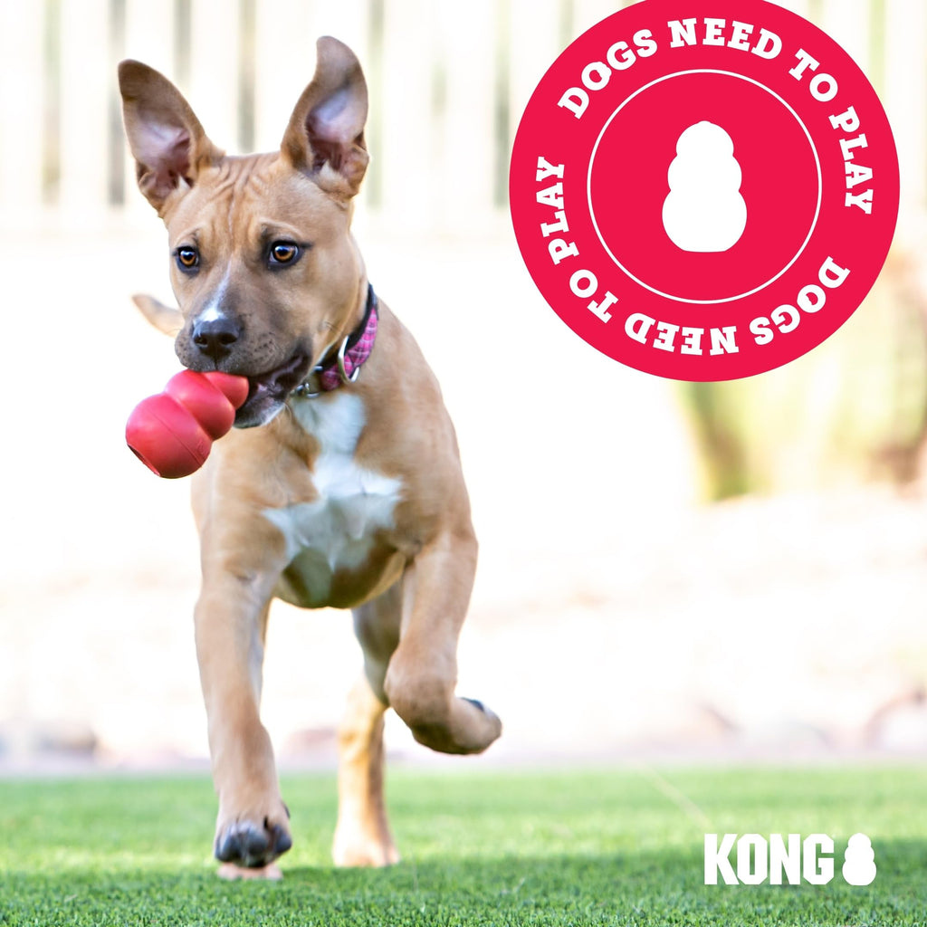 Knotted Rope Plush Dog Toy F69240