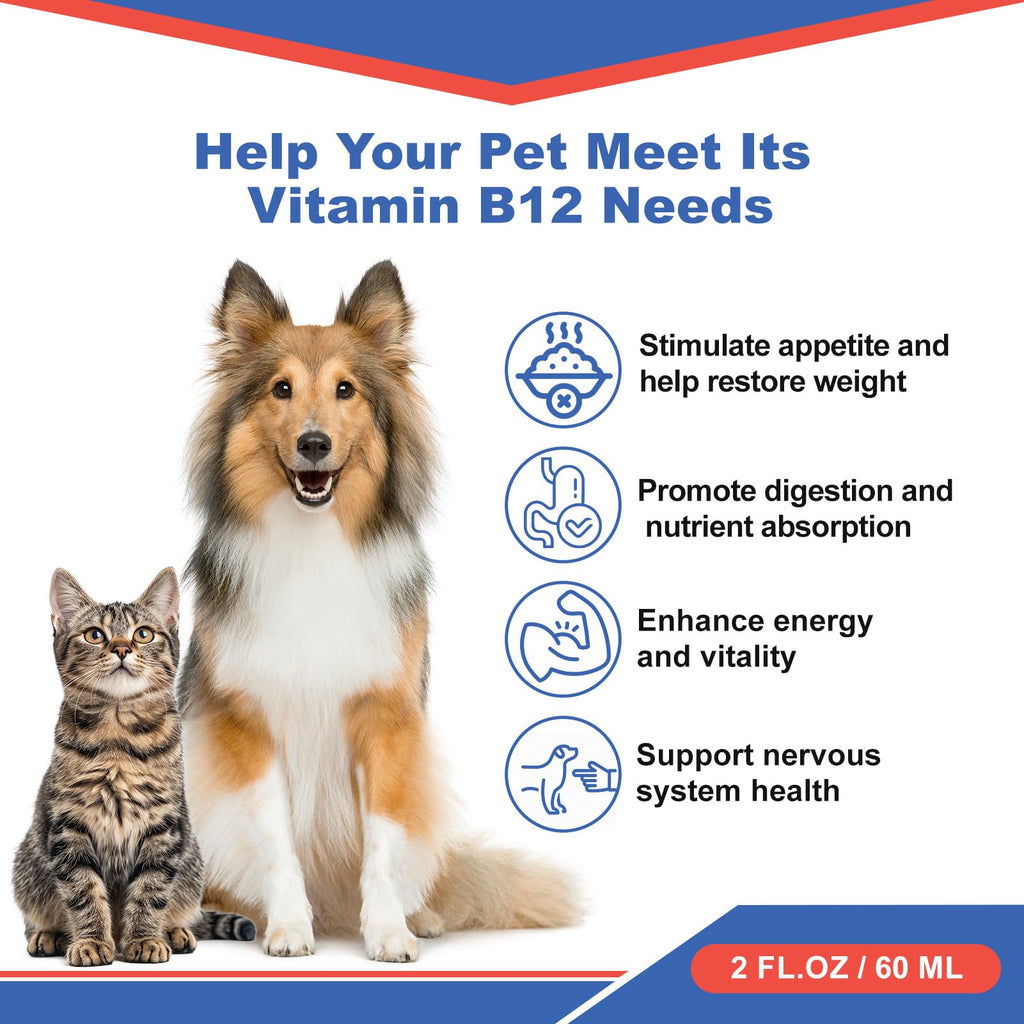 Vitamin B12 Liquid Supplement 60 ml U79837