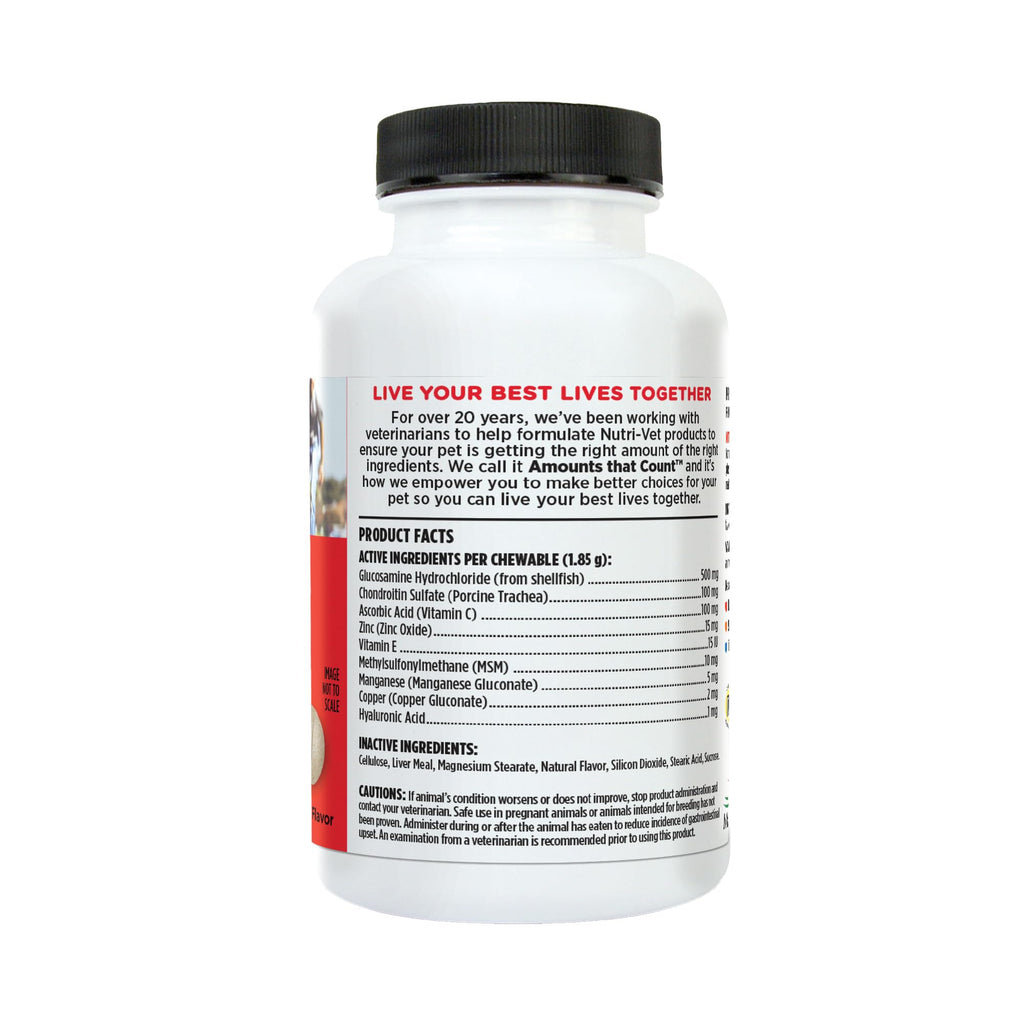 Dog Supplement, 500mg Glucosamine, 75 Count I16755
