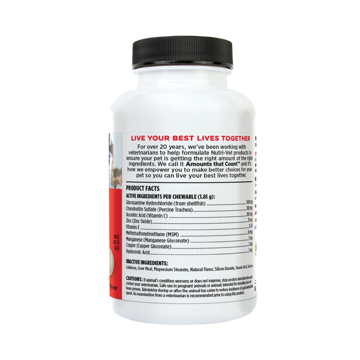 Dog Supplement, 500mg Glucosamine, 75 Count I16755