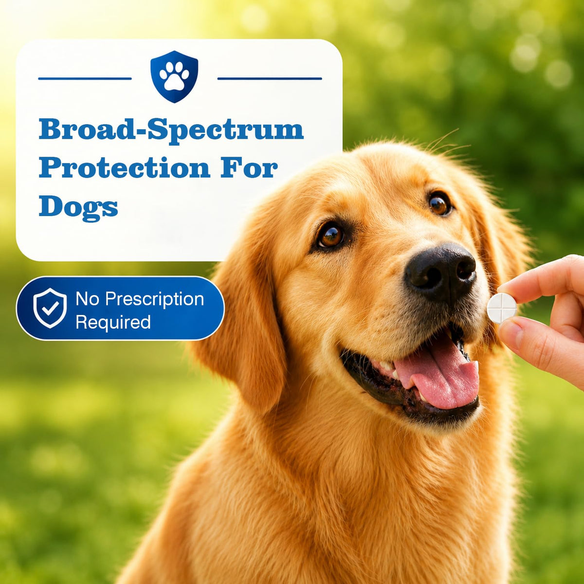 Dog Tapeworm Roundworm & Hookworm Oral Treatment Tablets A727