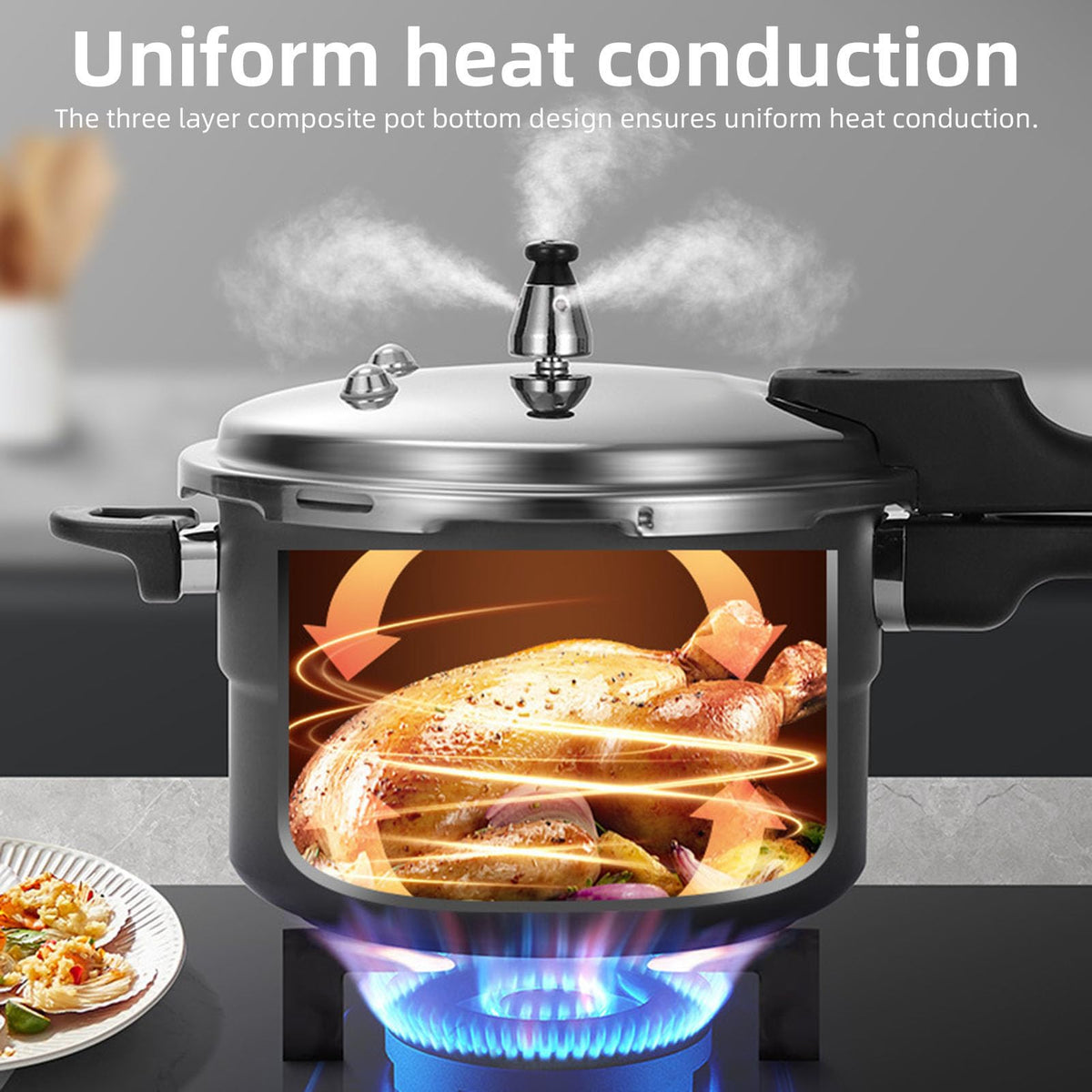 Stainless Steel Pressure Cooker A3297