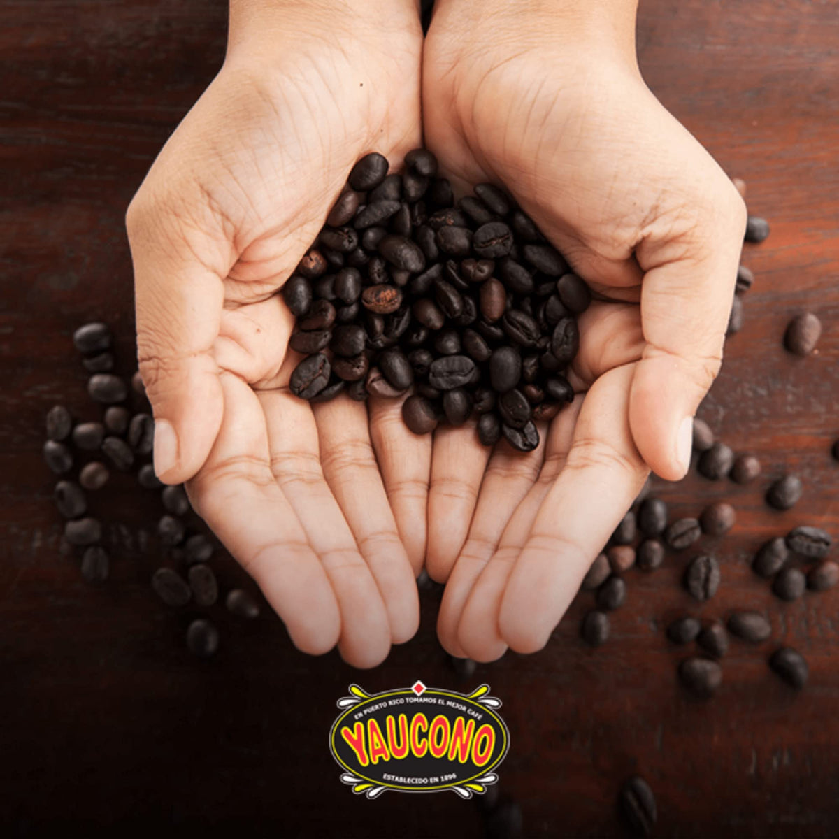 Ground Coffee, Medium Roast, 14 oz Bag (Pack of 6) Z6708