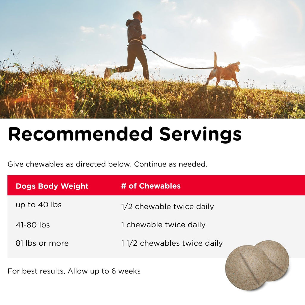 Dog Supplement, 500mg Glucosamine, 75 Count I16755