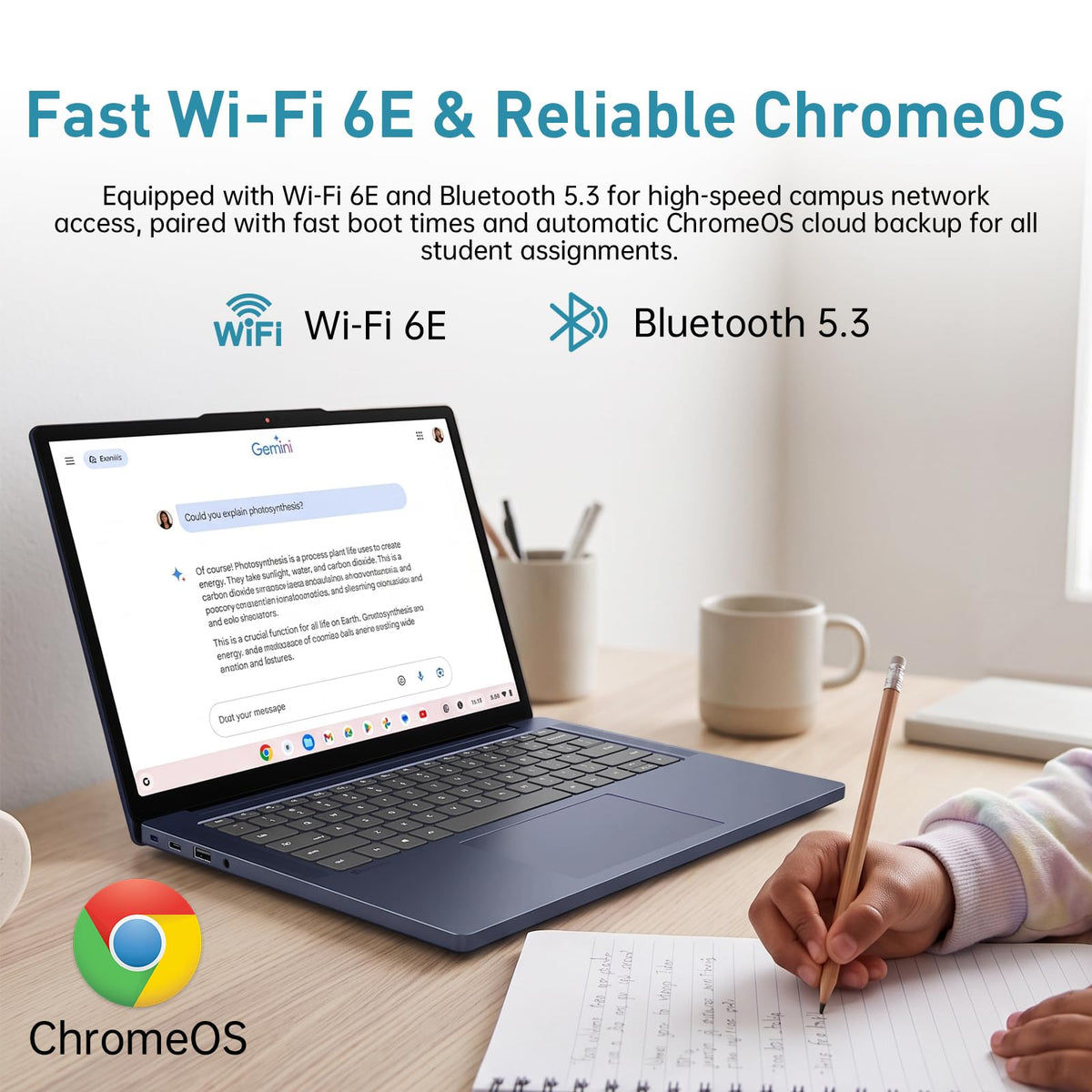 14" WUXGA Touchscreen Chromebook X709