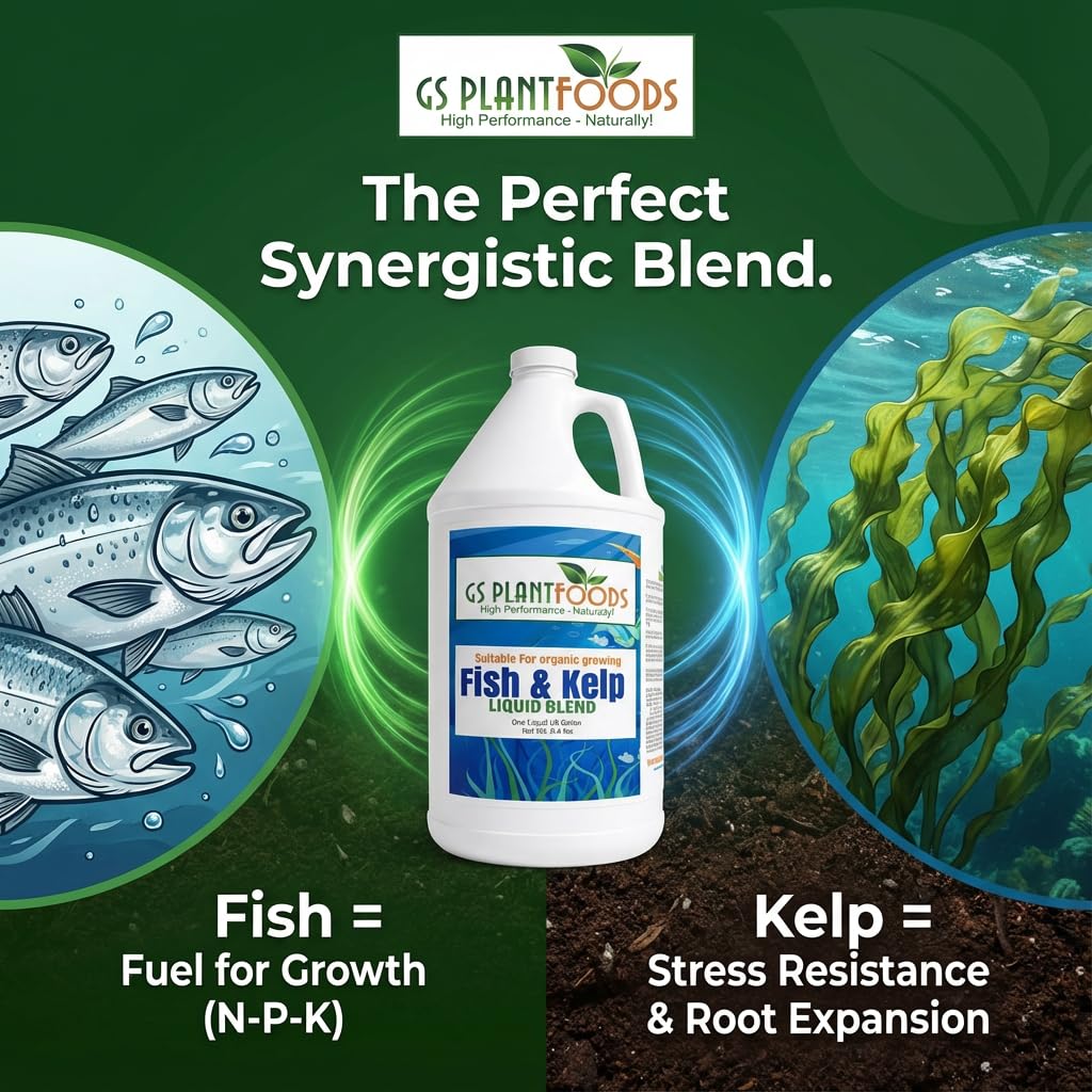 Liquid Fish & Kelp Fertilizer 1 Gallon A108808