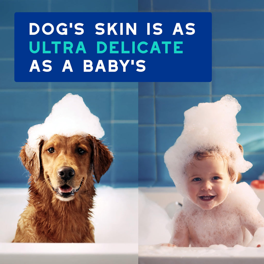 Dog Shampoo 16 fl oz L22308