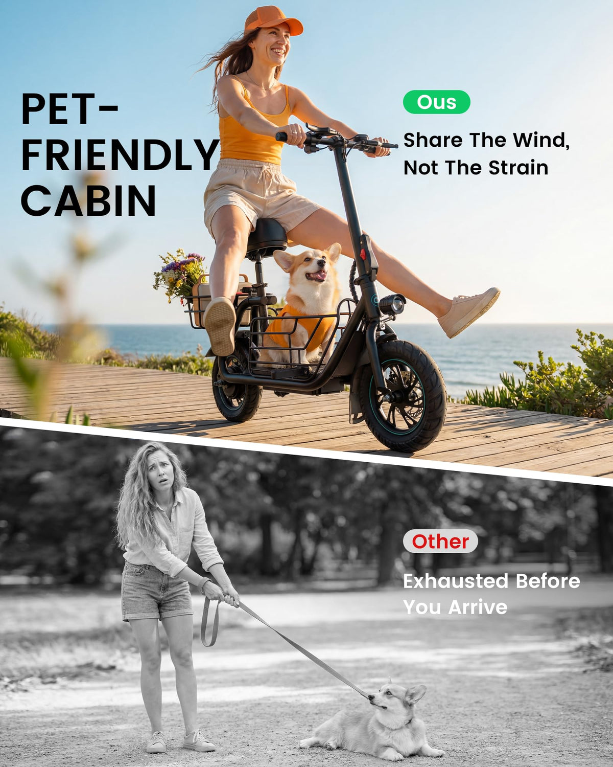 Electric Scooter with Seat W173