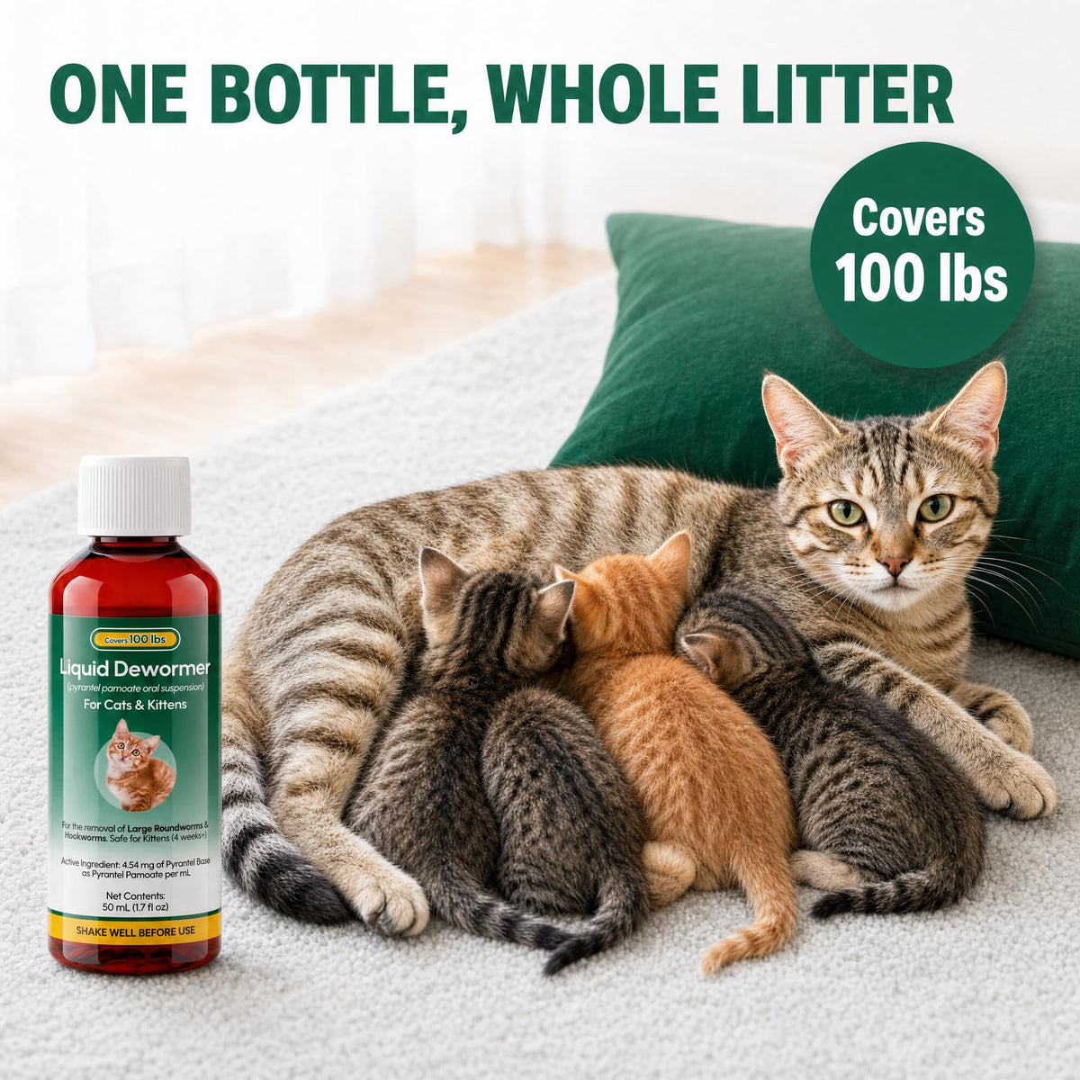 Pyrantel Pamoate Dewormer for Cats & Kittens 50ml V94968