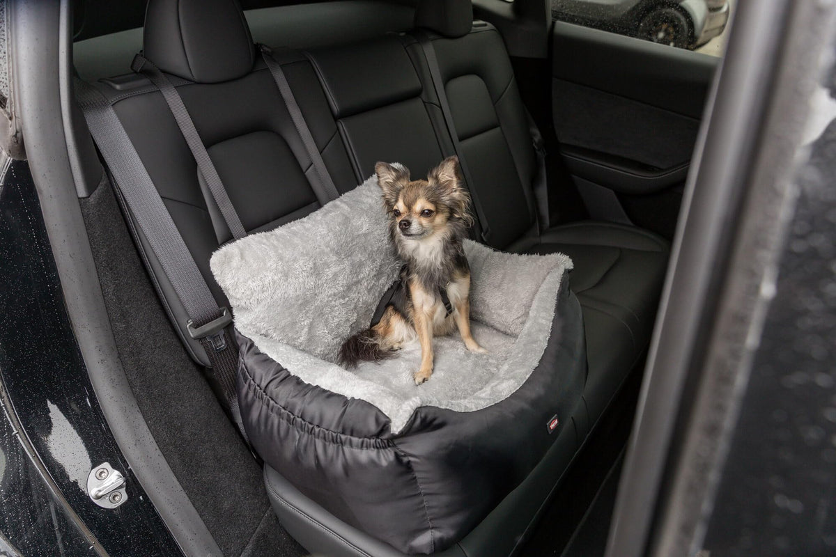 Convertible Dog Car Seat D166538