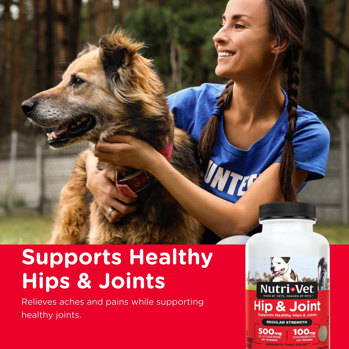 Dog Supplement, 500mg Glucosamine, 75 Count I16755