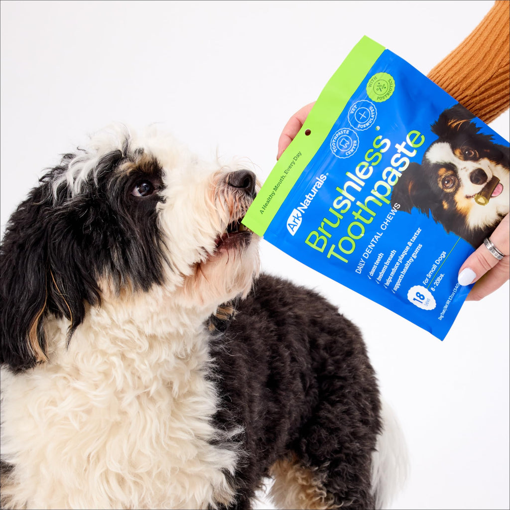 Brushless Toothpaste Dog Dental Treats Small Breeds 18 ct N3669