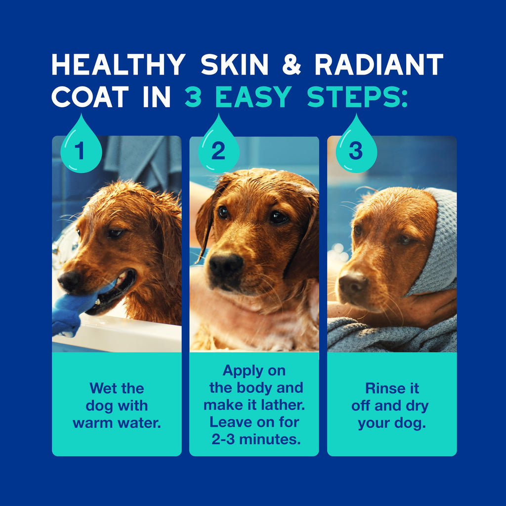 Dog Shampoo 16 fl oz L22308