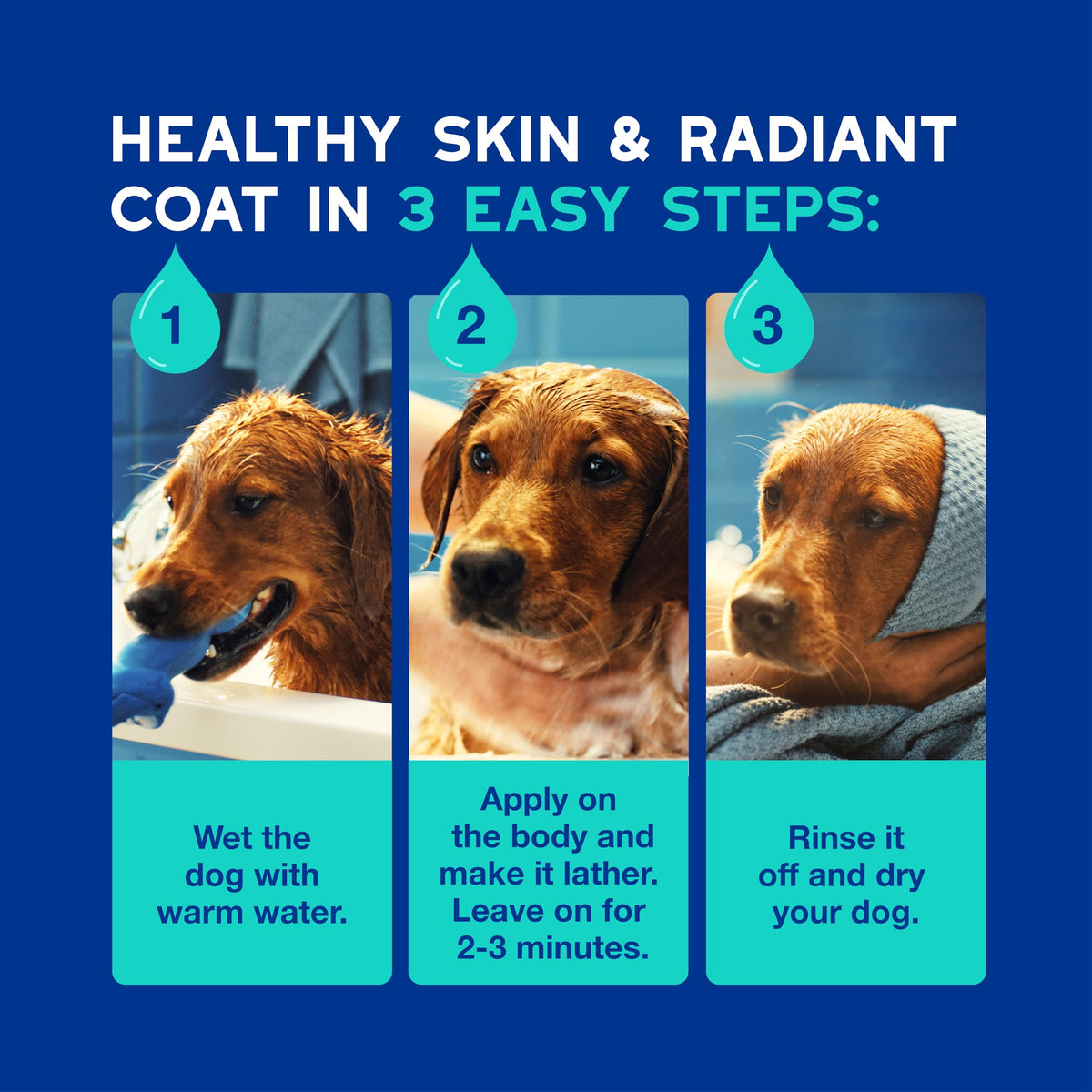 Dog Shampoo 16 fl oz L22308