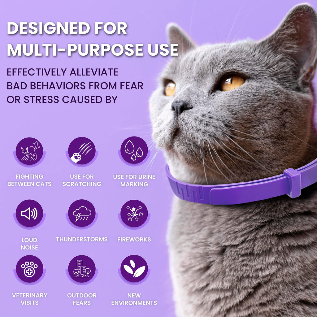 Purple Breakaway Calming Collar 4 Pack X32467