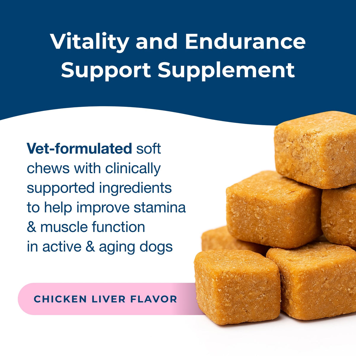 High Calorie Liquid Nutritional Supplement for Dogs & Puppies 16 oz V4164