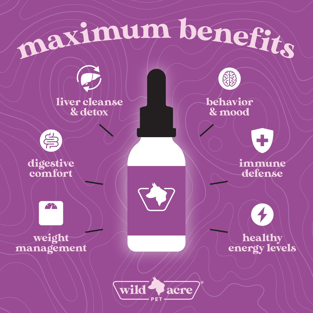 Milk Thistle for Dogs Liver Support 2 oz C15106