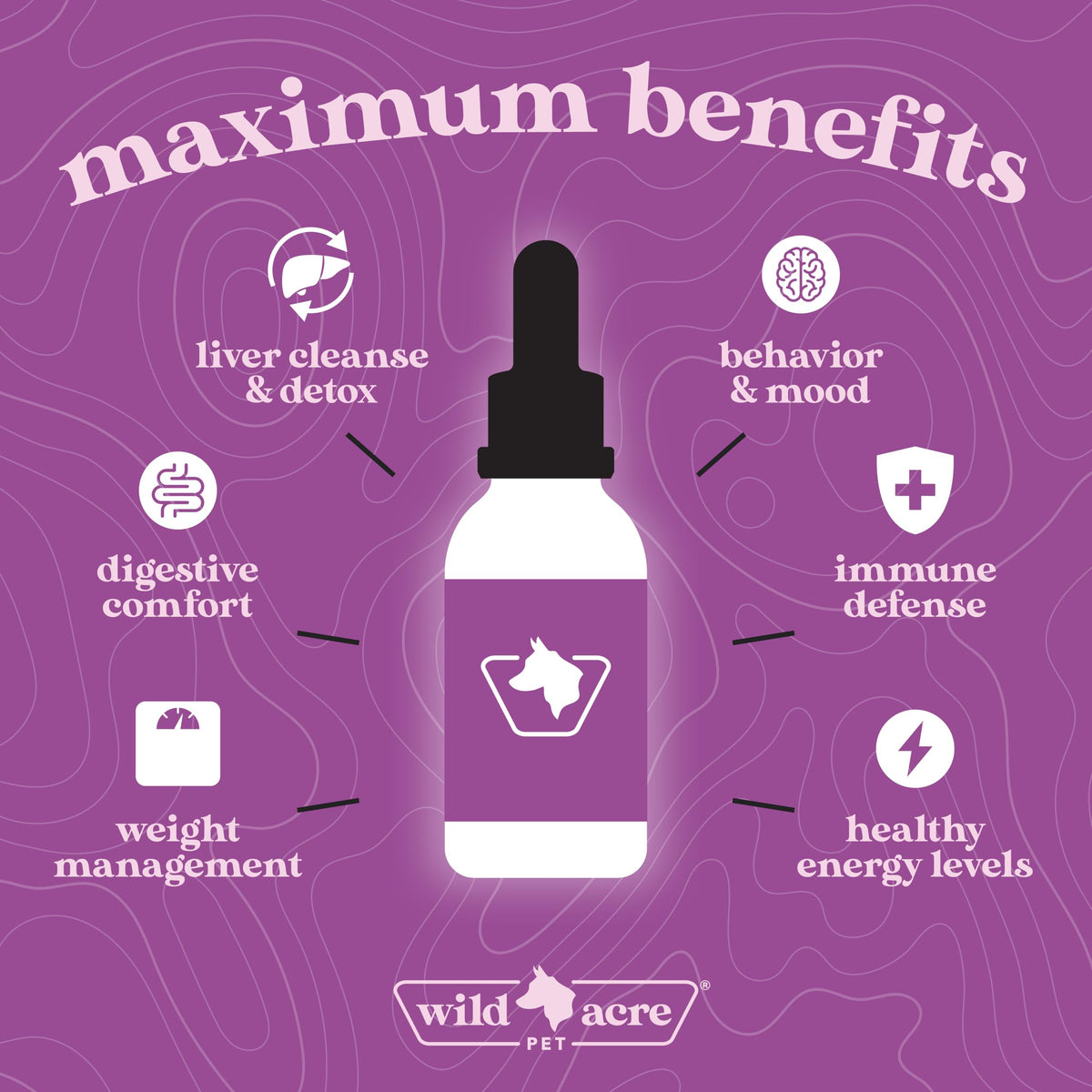 Milk Thistle for Dogs Liver Support 2 oz C15106