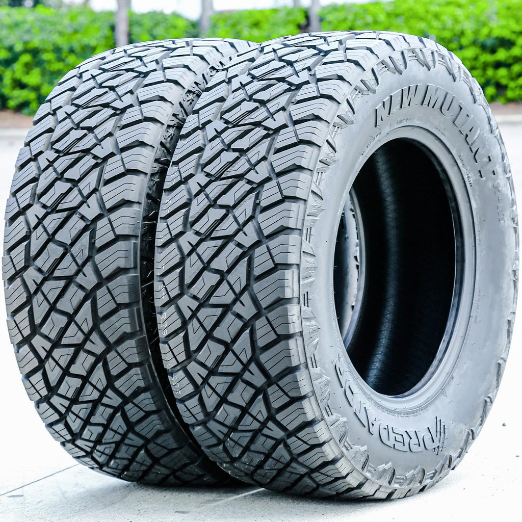 All Terrain 275/55R20 117T XL Light Truck Tire A260271