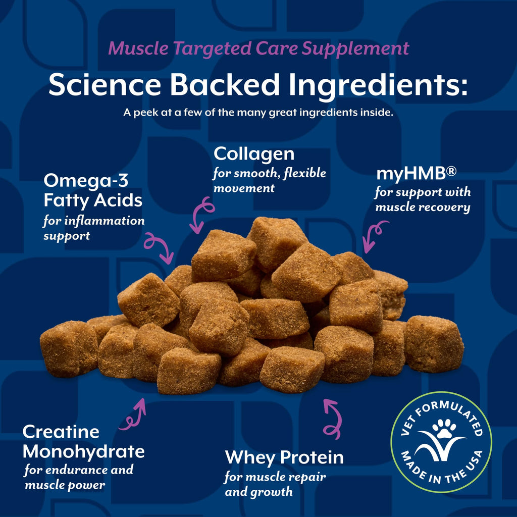 Hip & Joint Supplement for Dogs 60 Ct Q844