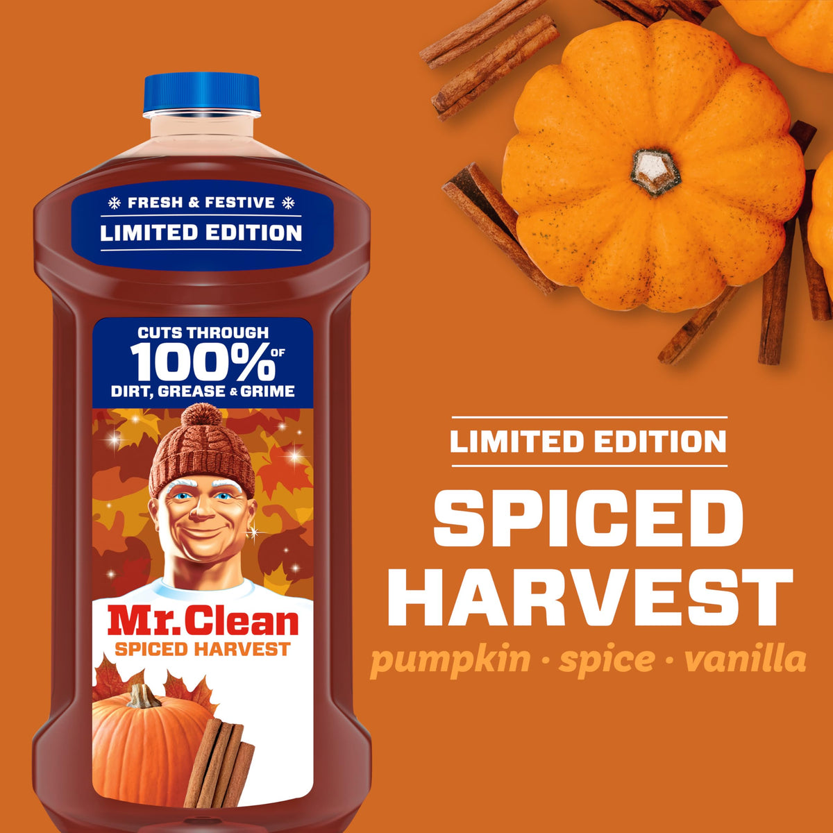 All Purpose Cleaner, Spiced Harvest, 41oz S80027