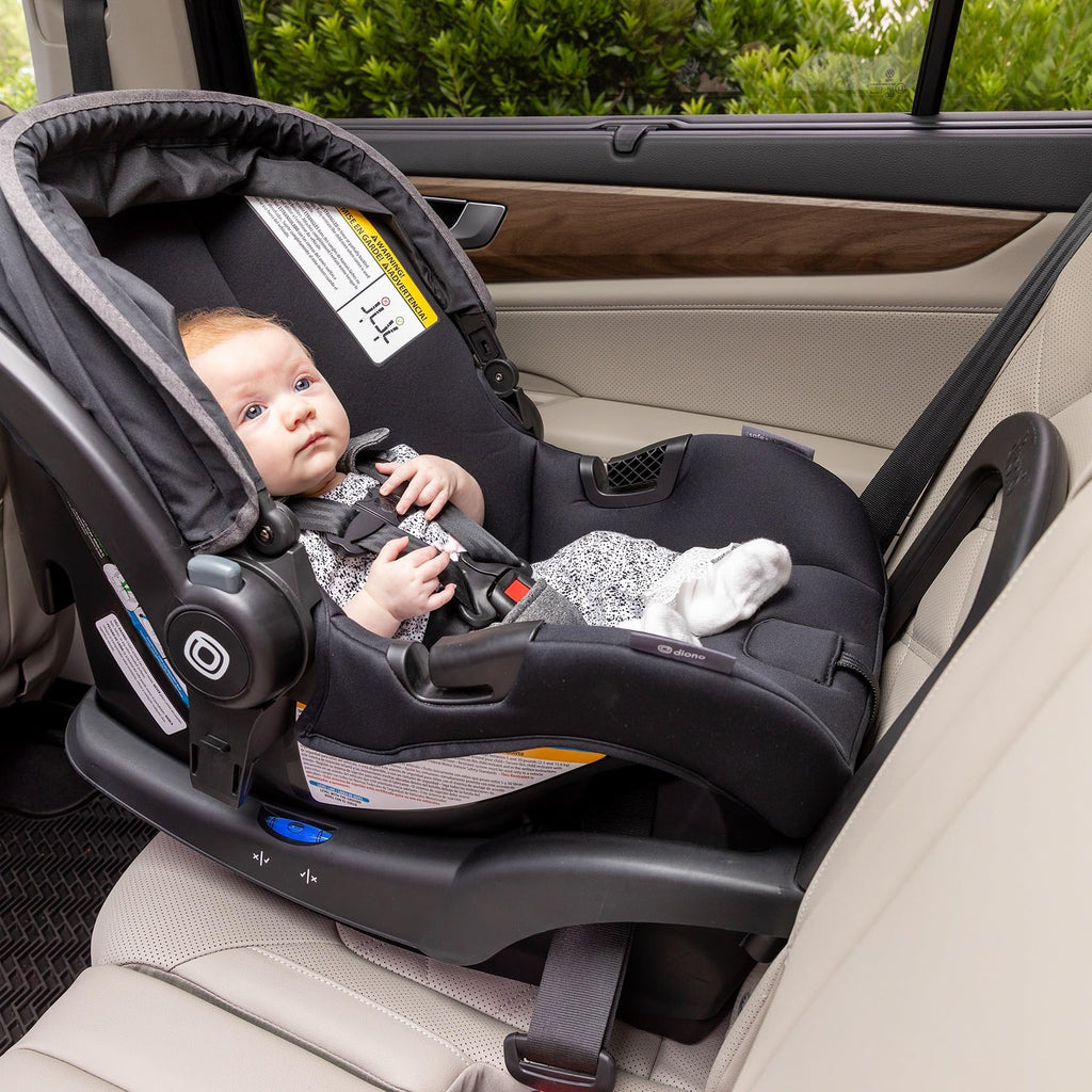Infant Car Seat and Base, Rear-Facing 4-30lbs, Black A880