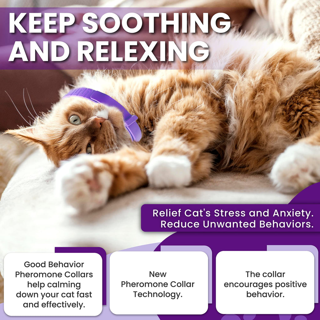 Purple Breakaway Calming Collar 4 Pack X32467