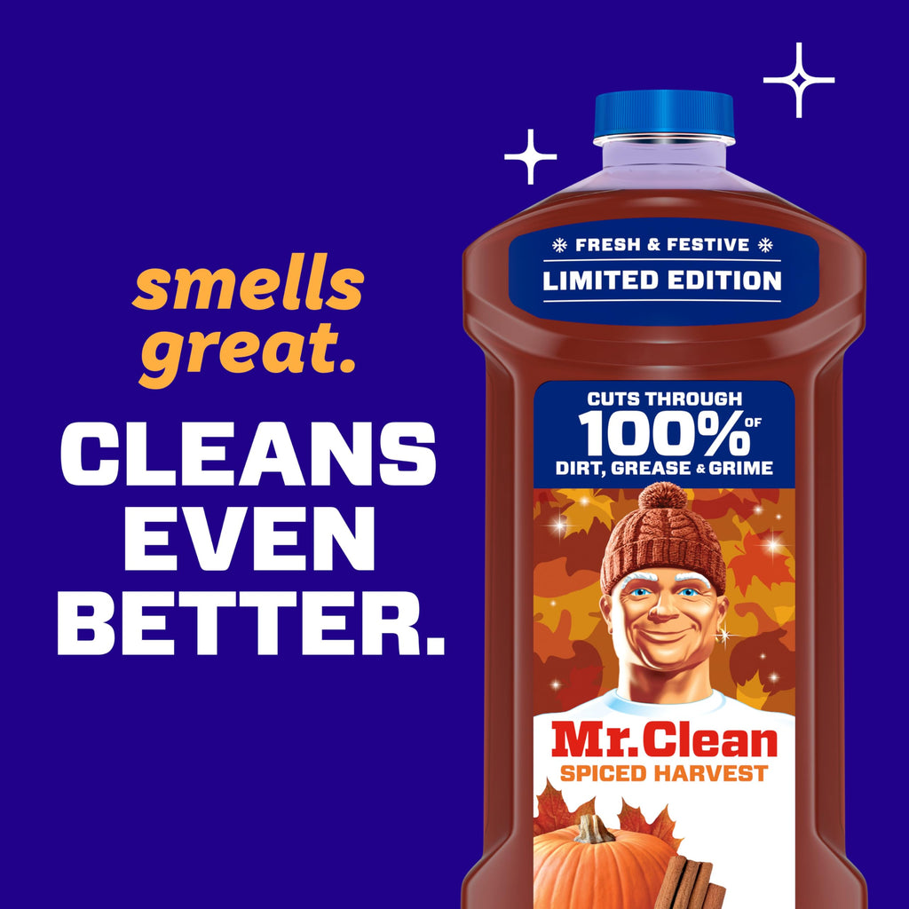 All Purpose Cleaner, Spiced Harvest, 41oz S80027