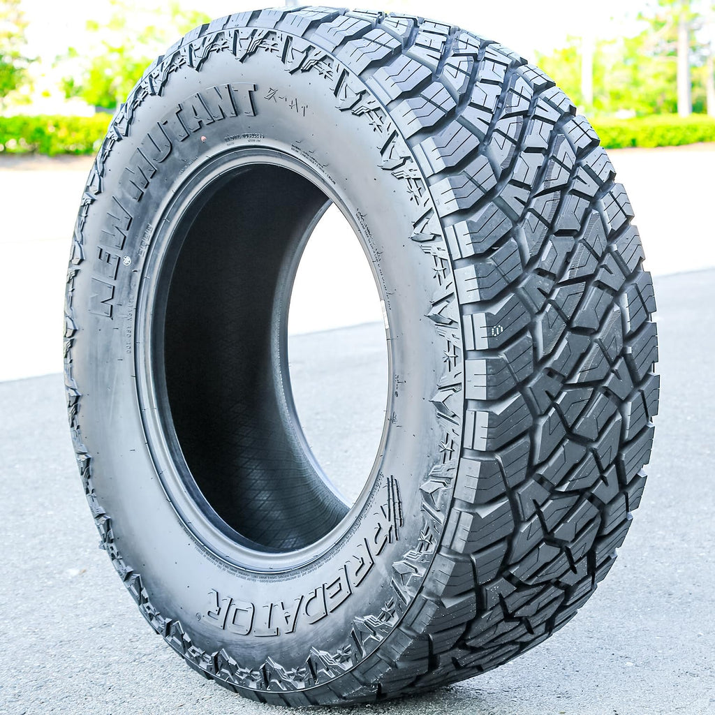 All Terrain 275/55R20 117T XL Light Truck Tire A260271