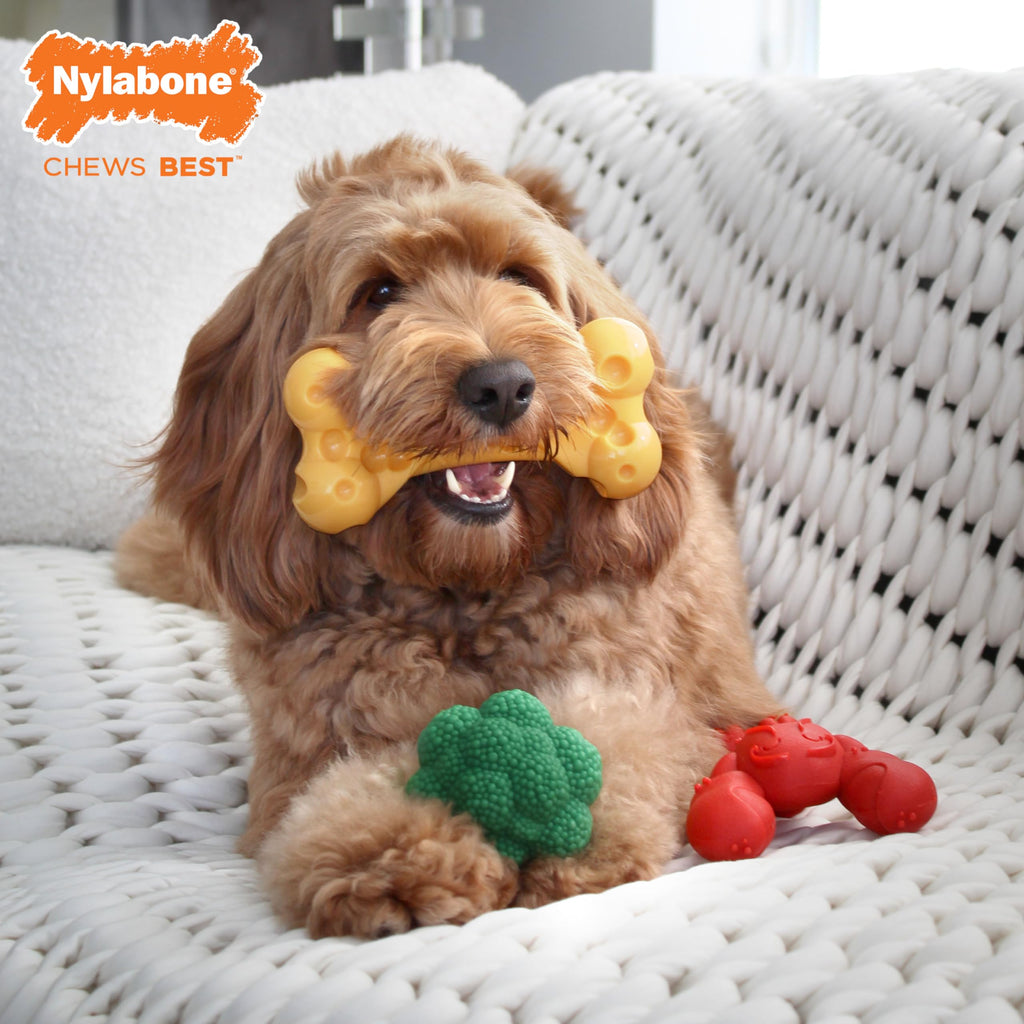 3 Pack Dog Chew Toys Y8863
