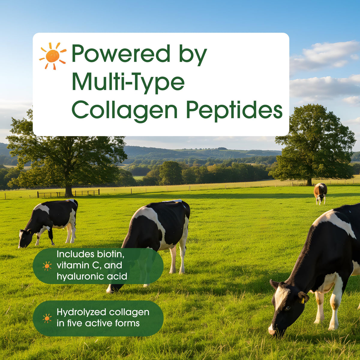 Hydrolyzed Collagen Peptides Protein Powder 600g Unflavored A6242