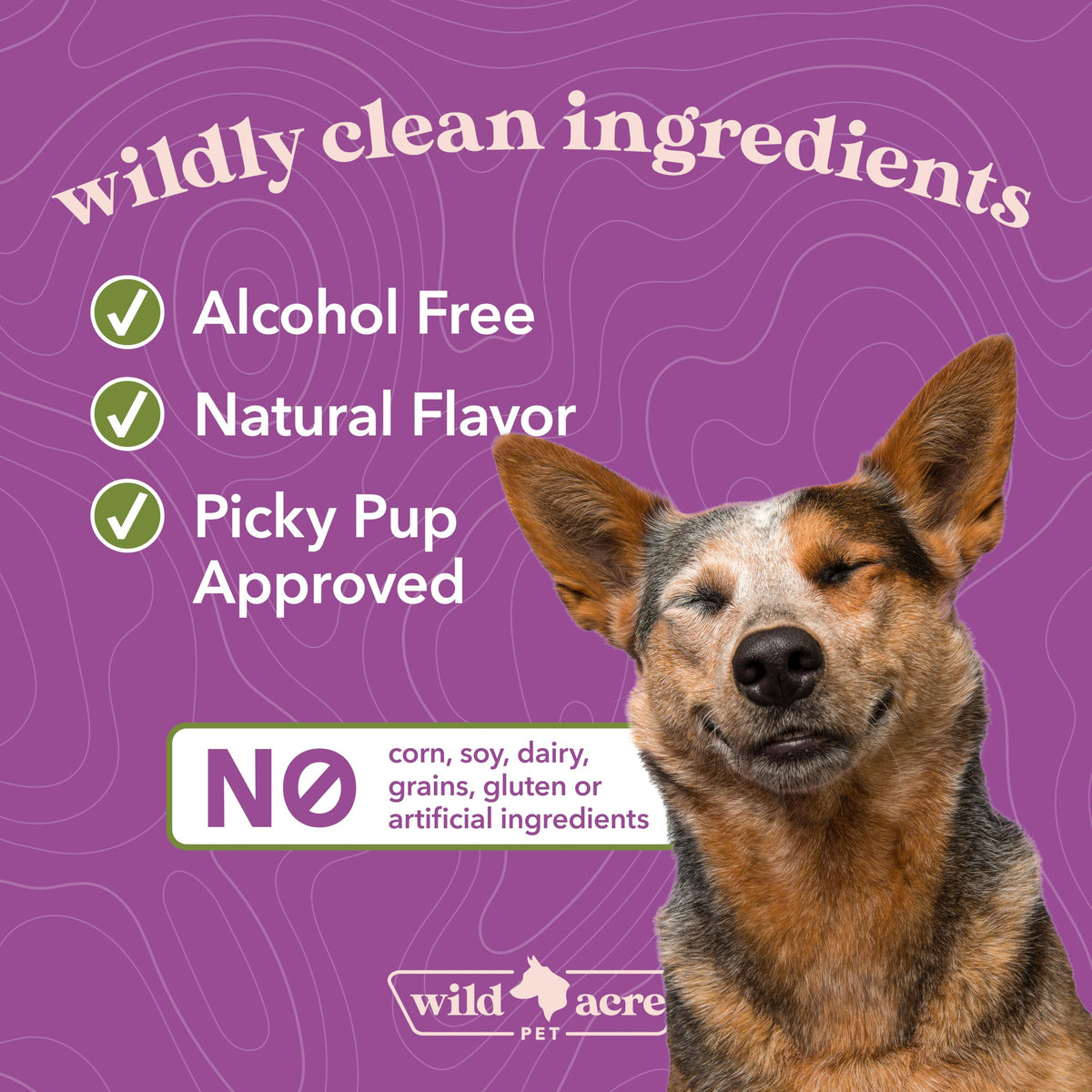 Milk Thistle for Dogs Liver Support 2 oz C15106