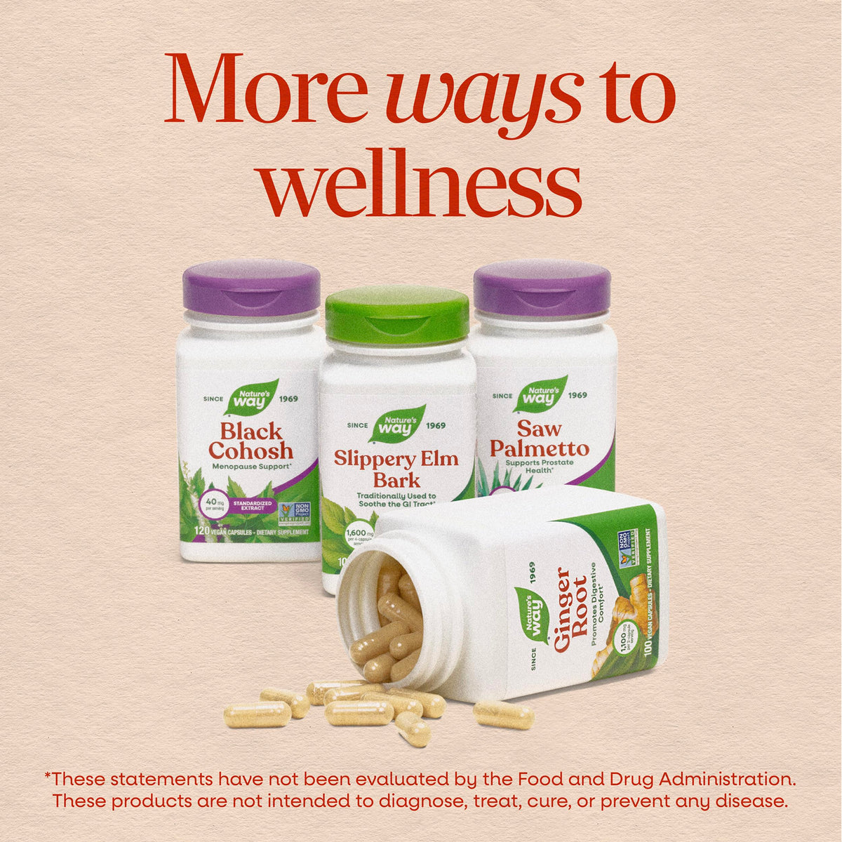 Odorless Garlic Tablets Vegan 180 ct C384