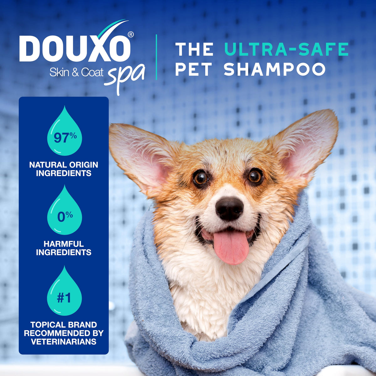 Dog Shampoo 16 fl oz L22308